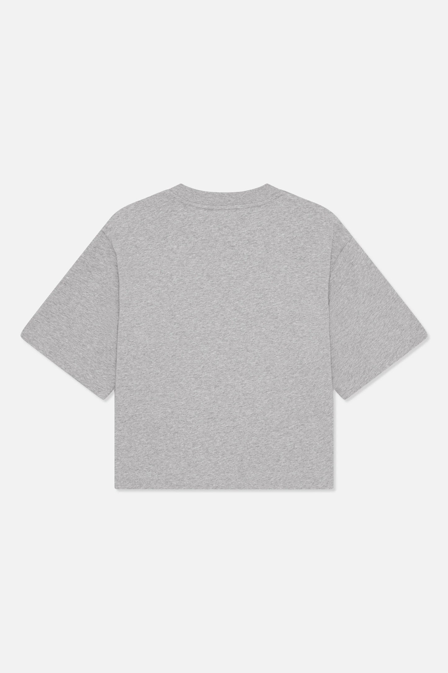 Jiana Tee grey melange